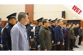 额敏专业讨债公司有哪些核心服务？